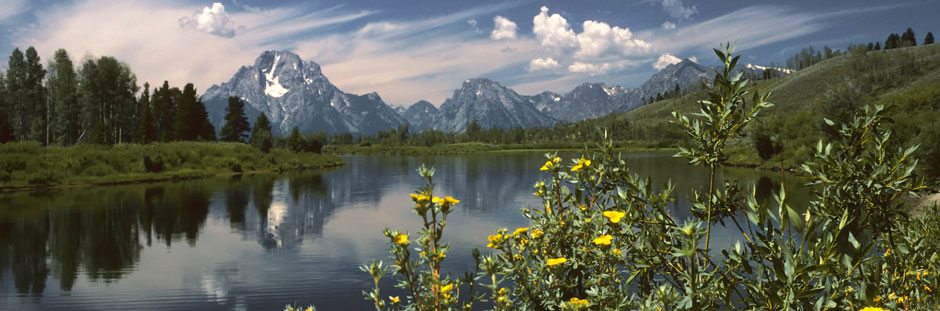 Oxbow Bend View Pullout