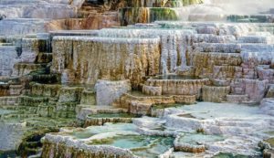 Mammoth Hot Springs on yellowstone tour